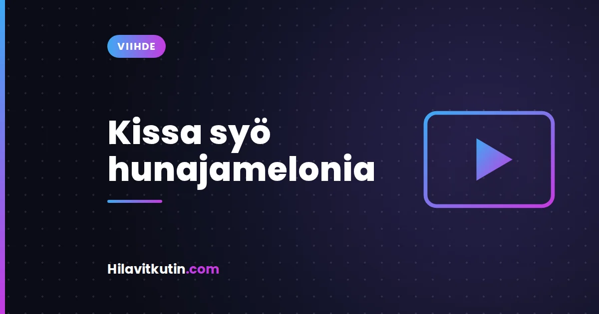Kissa syö hunajamelonia