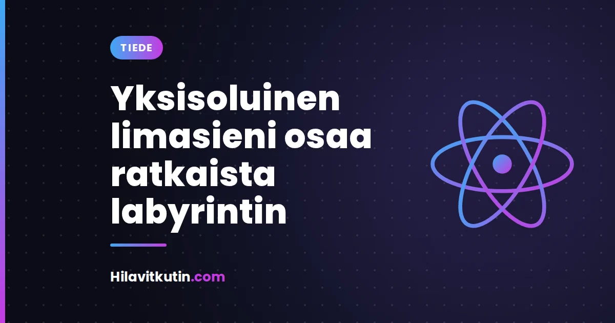 Yksisoluinen limasieni osaa ratkaista labyrintin