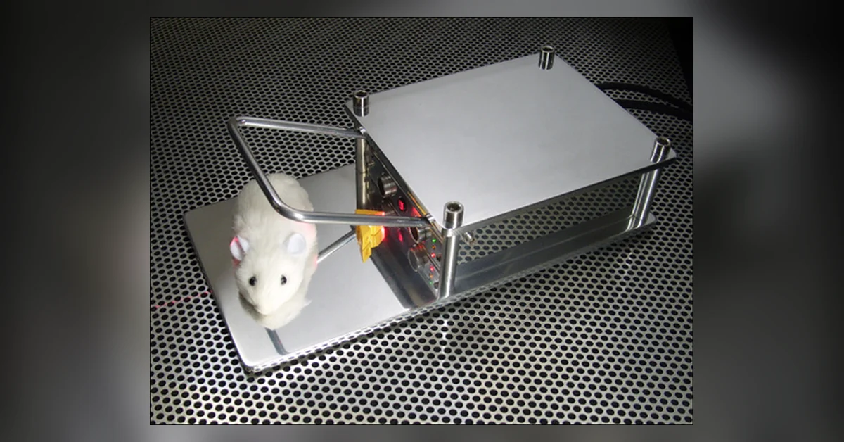 ”The Better Mouse Trap” – Se Parempi Hiirenloukku