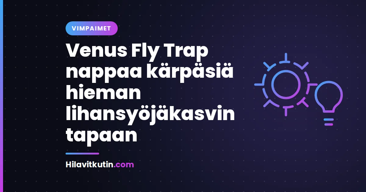 Venus Fly Trap nappaa kärpäsiä hieman lihansyöjäkasvin tapaan