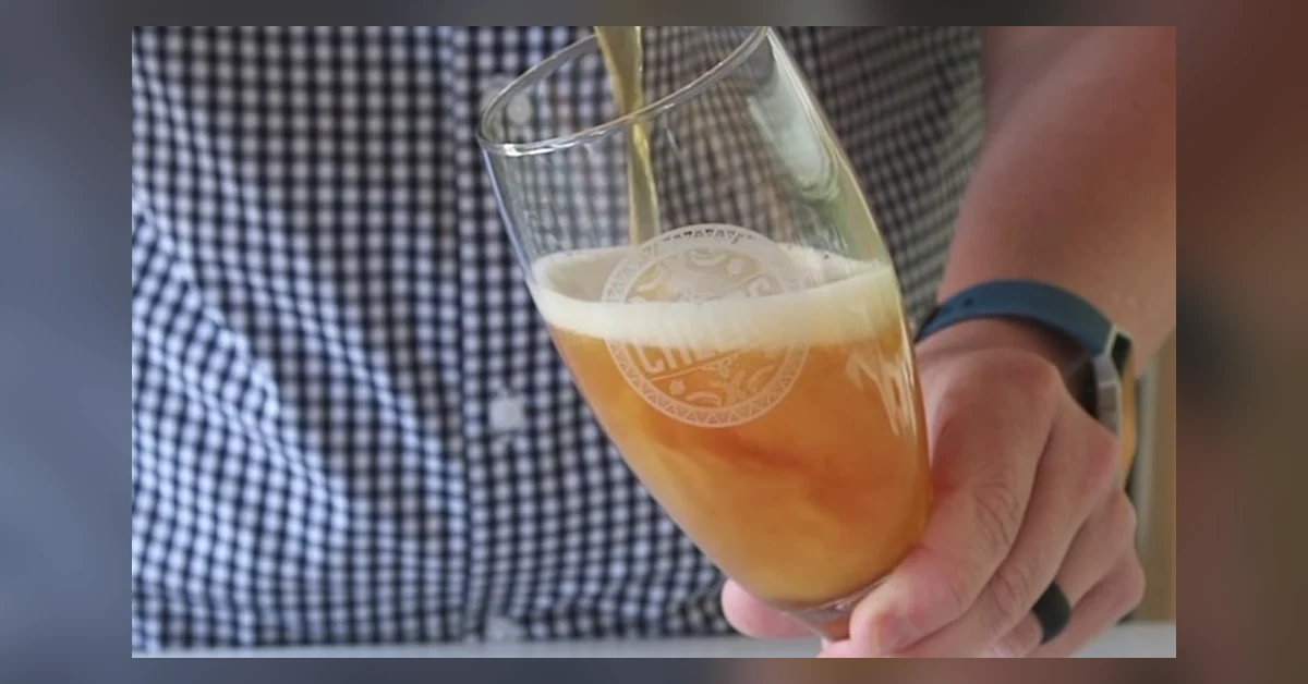 Olut turvottaa vatsaa, jos sen kaataa lasiin ilman kuohuntaa, katso video oikeasta kaatotekniikasta