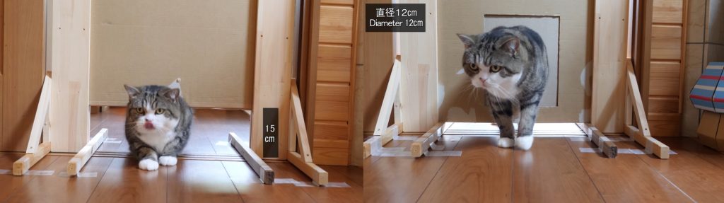 Kissanmentävä väli tai kolo