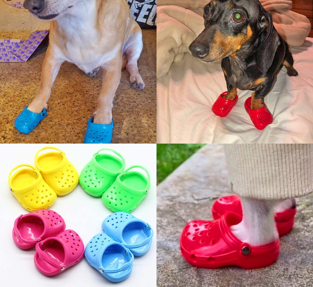 DOG CROCS - Koiran crocsit
